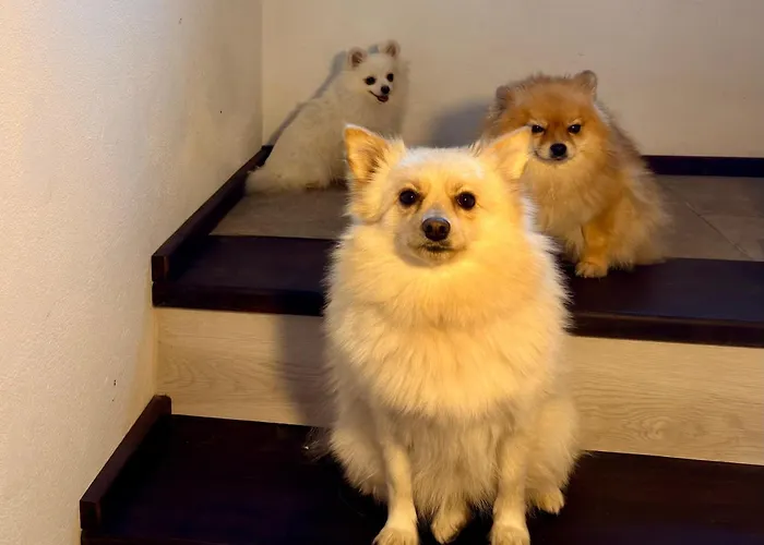 Отель Arthotel Oscar I *