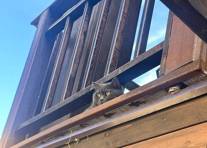 Отель Arthotel Oscar I